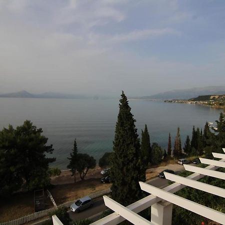 Sea Side Villa Alexandra Αλισσός Εξωτερικό φωτογραφία