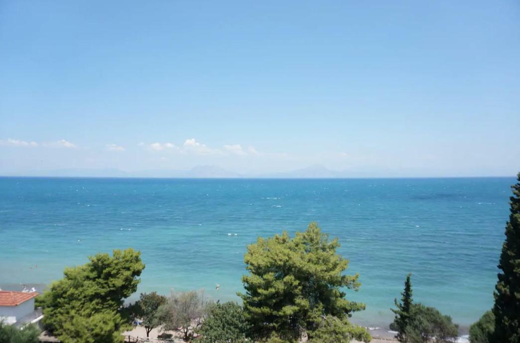 Sea Side Villa Alexandra Αλισσός Εξωτερικό φωτογραφία